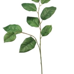 Salal lvs spray green 77 cm